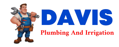 Trusted plumber in BEE BRANCH